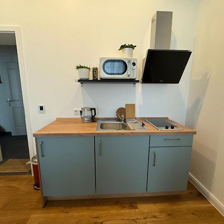 Boutique Hotel Pension Luisengruen Kueche 1Gbs Wlan Netflix Disney Magentatv Chemnitz Exterior photo