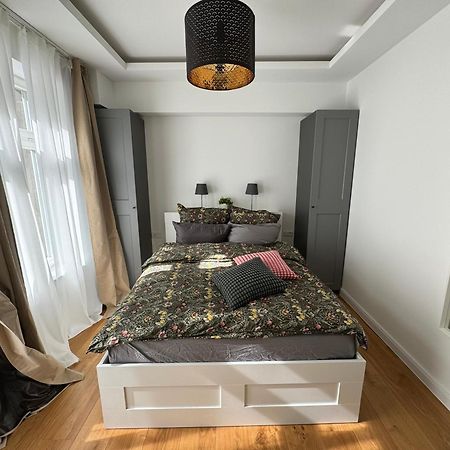 Boutique Hotel Pension Luisengruen Kueche 1Gbs Wlan Netflix Disney Magentatv Chemnitz Exterior photo