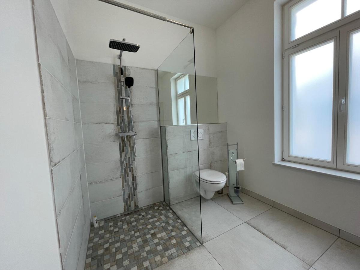 Boutique Hotel Pension Luisengruen Kueche 1Gbs Wlan Netflix Disney Magentatv Chemnitz Exterior photo