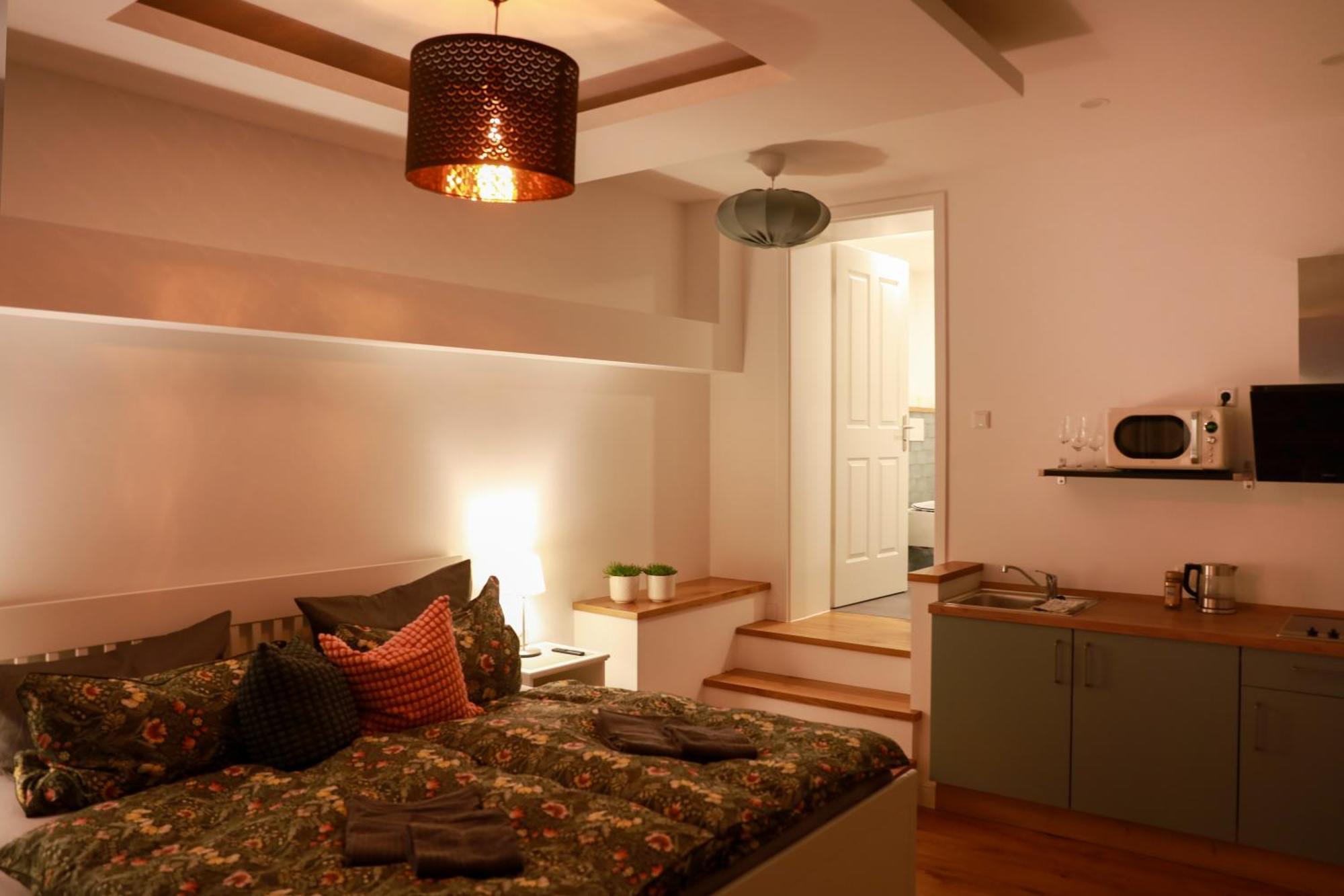 Boutique Hotel Pension Luisengruen Kueche 1Gbs Wlan Netflix Disney Magentatv Chemnitz Exterior photo